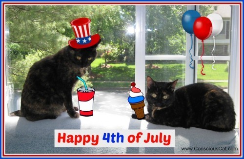 4th_of_july_cats