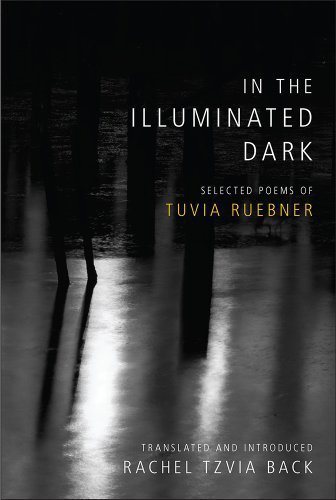 intheilluminateddarkbookcover