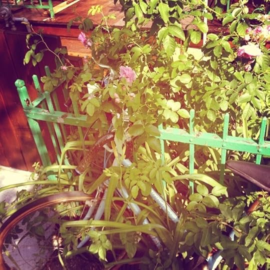 Greenland #montreal #montrealruelle #igers #igersmontreal #yul #life #quebec