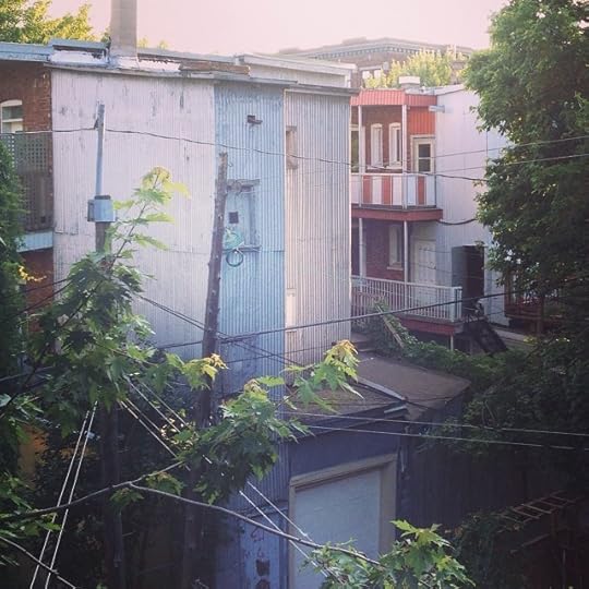 Jungle #montrealruelle #montreal #igersmontreal #life