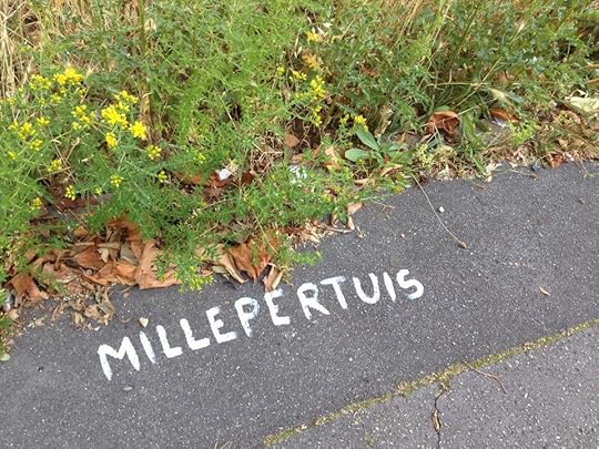 10463922_790993630931886_8242545678815053221_n