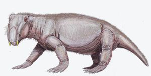 Permian-Lystrosaurus georgi