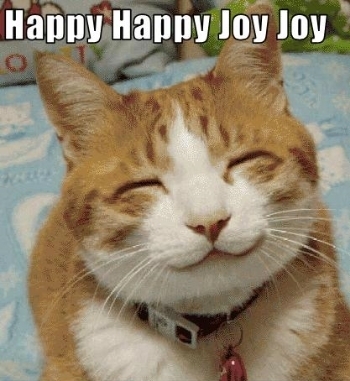  photo 18bbe80f-66e4-481f-a7a2-aab095562023_zps78e9a5c3.jpg