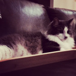 Andre and his Hitler mustache