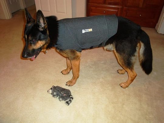 MagicThundershirt