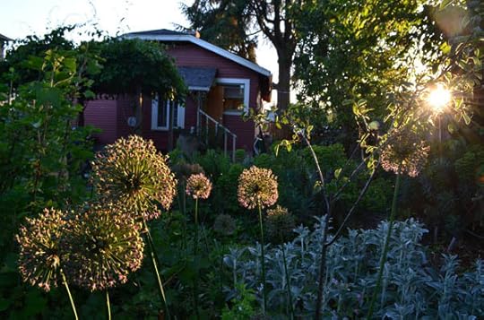 garden-dusk