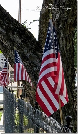 Flags_Fence