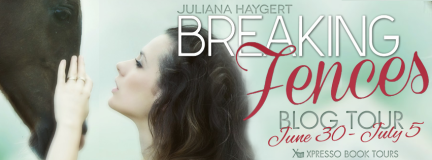 BreakingFencesTourBanner3