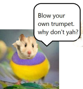 bitrds-bqyc4awciaaulky1;k