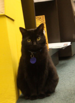 molly_bloom_sitting