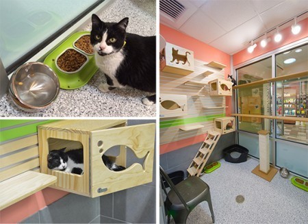Boulder_Valley_Humane_Society