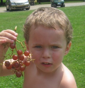 about to meltdown 288x300 How Do I Make this Kid Stop Crying?