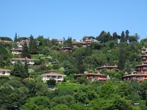 DSC02119