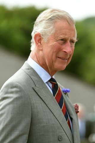 AD139681383The Prince of Wa