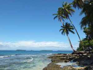 Tropical island with a sandy beach where we snorekelled and The Lad dived.