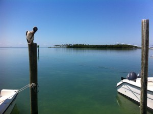 Key West - Islamorada Island