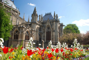 paris notre dame flowers