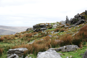 North tip of Belstone Tor