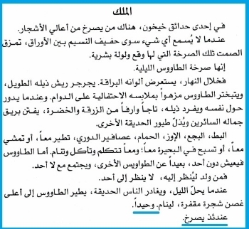 photo 623064106480627064703_zpsf369333a.jpg