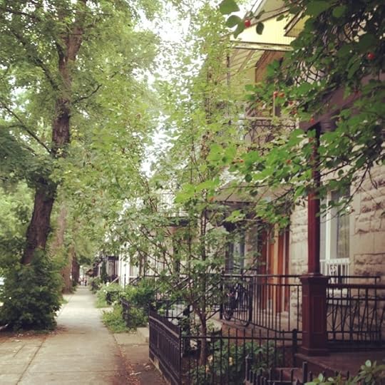 More crazy beauty #montreal #igersmontreal #yul #life