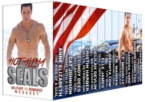 hot alpha seals cover