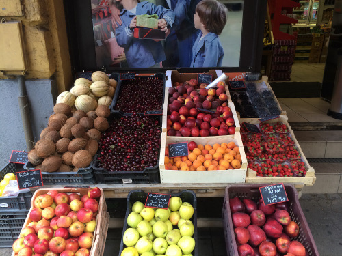Fruit
