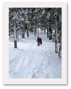 Sarah Wolf_blog image