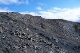 Denali dinosaur track research
