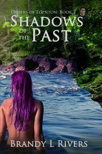 Shadows of the Past - Book 2