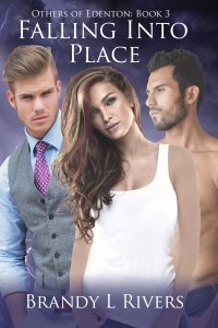 Falling Into Place - Book 3