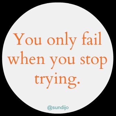You only Fail When You Stop Trying