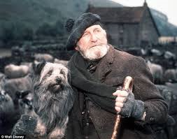 fffffffffffffffffffffffffffffffff