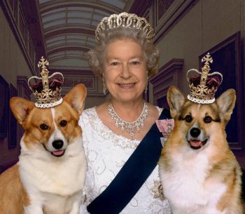 queen elizabeth ii coronation. queen elizabeth ii coronation