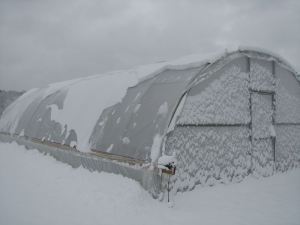 snowonhoophouse