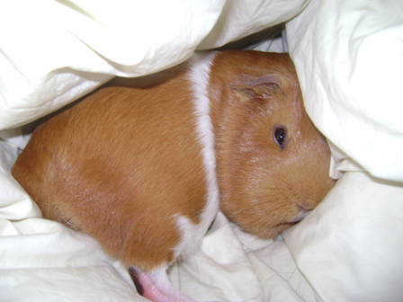 Asspen is frankly one of the greatest South Park episodes of all time. Of all time. 