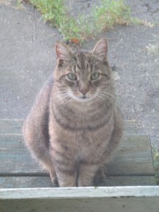Henry, waiting for his snack