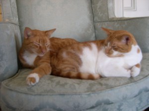 Siblings Dexter (left) and Lila