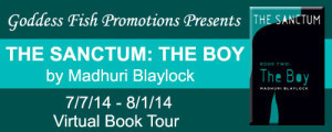 TheBoy_Tour_Banner_copy