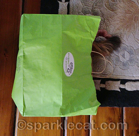 Bags are meant to be occupied!