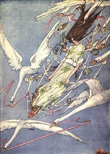 Clarke's Wild Swans