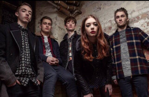 marmozets