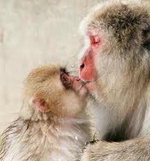 Kiss the season goodbye