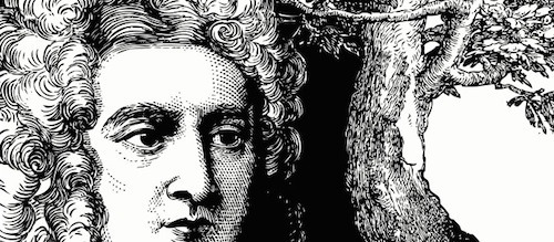 newton