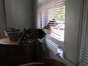 If I can just squeeze in here...