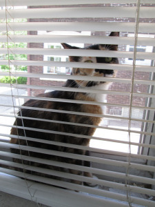 What are YOU lookin' at?