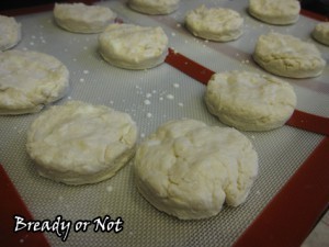 Buttermilk Biscuits