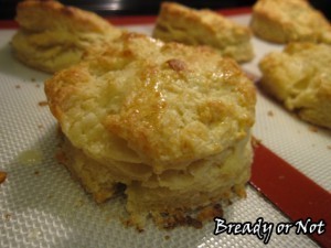 Buttermilk Biscuits