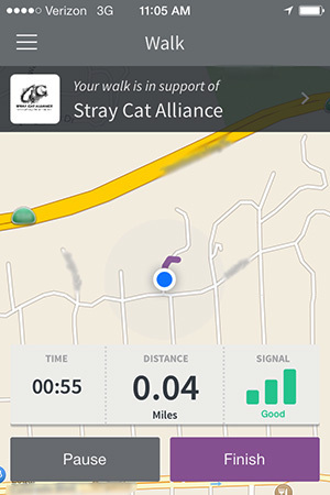 Yes, we live right by a freeway.