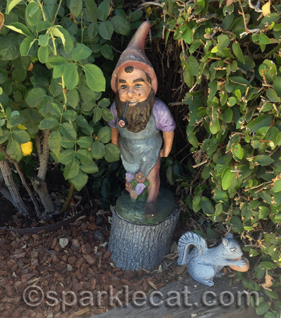 She did not pet the gnome