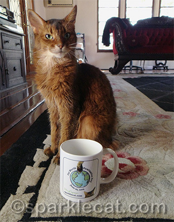 Concatulations to my mug winners!